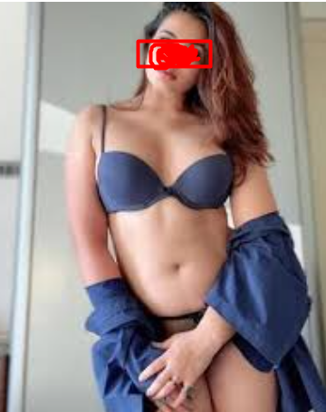 escort service in mahipalpur